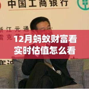 蚂蚁财富实时估值解读，掌握财富增长秘诀，洞悉市场动向！