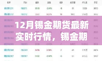 最新动态揭秘