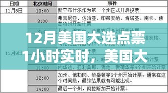 12月美国大选点票揭晓，历史时刻与深远影响的探索
