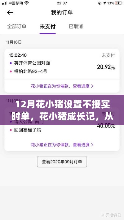 花小猪成长之路，从拒绝实时单到自信闪耀的蜕变之旅