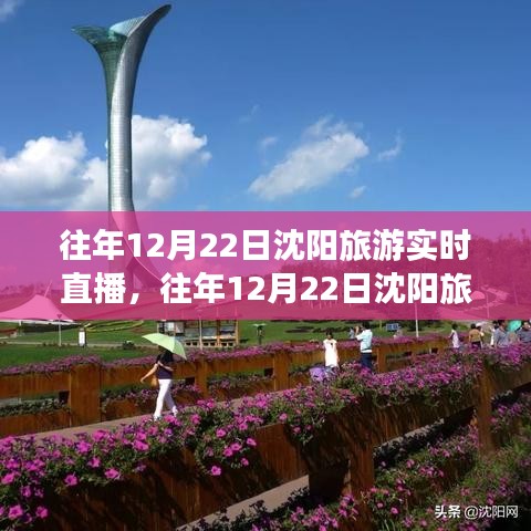 沈阳旅游往年12月22日实时直播回顾与产品全面评测介绍