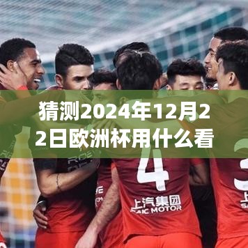 迎接梦想与现实碰撞的激情与智慧观赛体验，揭秘如何观看2024年欧洲杯实时比分。