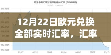 汇率背后的温情故事，友情与陪伴的欧元汇率追踪之旅（实时汇率更新）