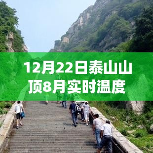 气候变迁下的观点碰撞，泰山山顶实时温度揭秘，8月与12月对比观察
