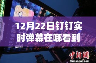 12月22日钉钉实时弹幕体验，自然美景与心灵之旅的启程之路