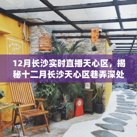 揭秘十二月长沙天心区巷弄深处的小店奇迹，实时直播盛宴开启！