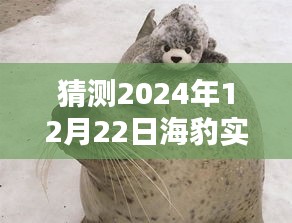揭秘海豹实时订单查询系统，深度评测与订单查看新体验