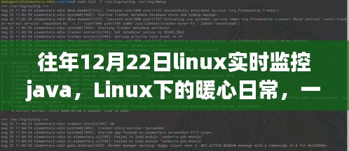 Linux下的Java实时监控，暖心日常与温馨故事