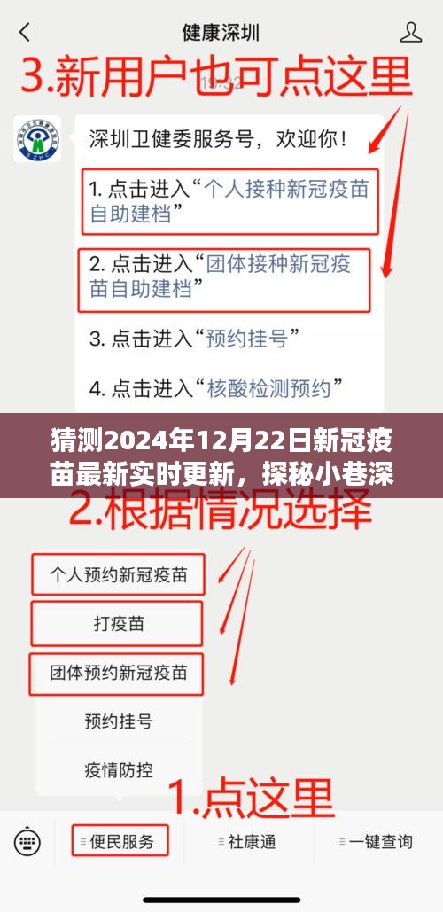 探秘特色小店，揭秘未来新冠疫苗最新动态与实时更新资讯，2024年疫苗更新秘境揭晓