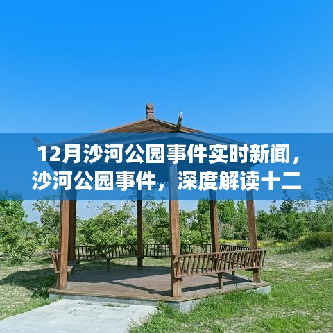 沙河公园事件揭秘，深度解读十二月实时新闻背后的故事