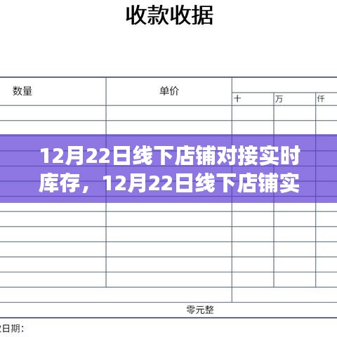 线下店铺实时库存对接，提升效率的关键步骤与案例分析，12月22日对接实录