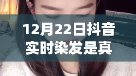 抖音实时染发风潮揭秘，真相与影响探寻于12月22日背后的故事