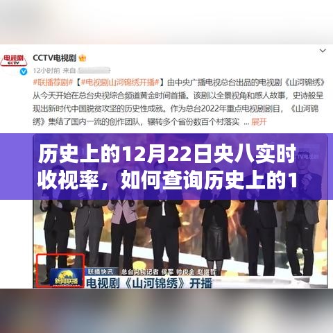 如何查询历史上12月22日央八实时收视率，详细步骤指南与收视率数据概览