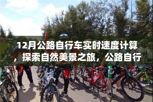 探索自然美景与内心平静，公路自行车速度与骑行之旅的独特体验
