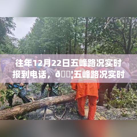 科技引领未来出行，五峰路况实时播报系统助力高效出行决策