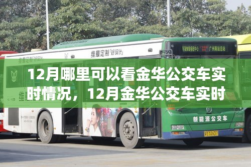 12月金华公交车实时追踪，掌握出行动态，轻松了解车辆实时情况