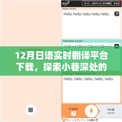 探索小巷深处的宝藏，12月日语实时翻译平台下载奇遇记