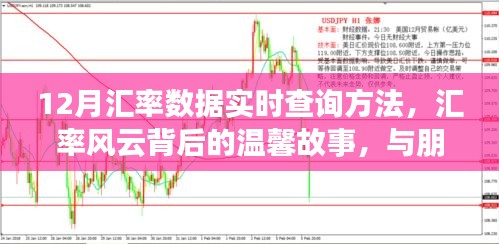 汇率风云背后的故事，与朋友的实时查询之旅，揭秘12月汇率数据