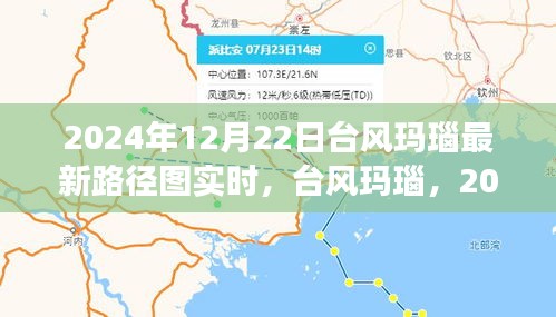 台风玛瑙最新路径图实时更新，风云再起的岁月印记