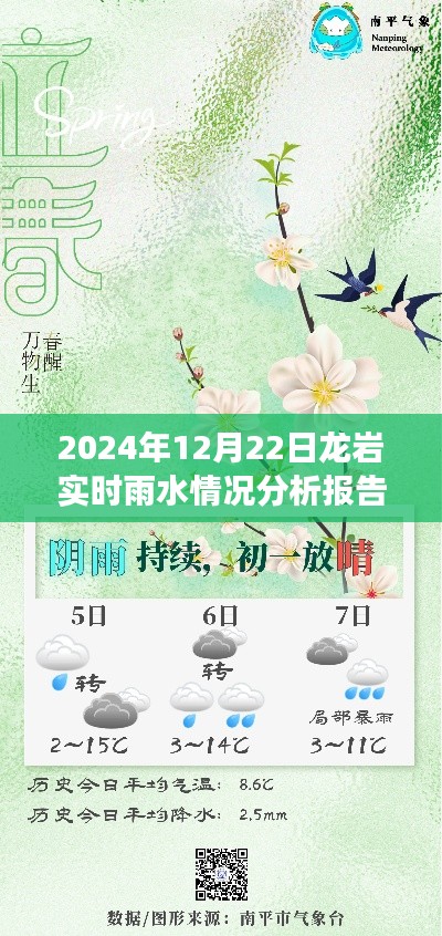 龙岩雨夜交响曲，雨水实时分析与温情体验报告（2024年12月22日）