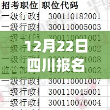 四川报名人数实时统计系统评测报告，最新报名人数动态分析（12月22日）