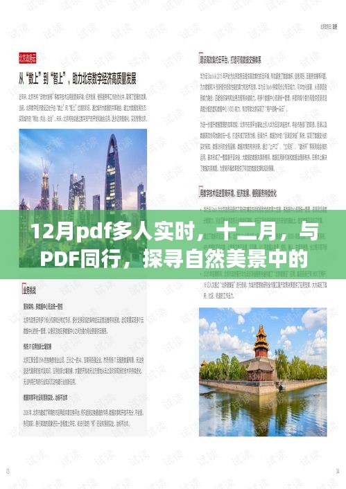 十二月PDF多人实时同行，探寻自然美景的内心平静之旅