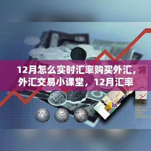 12月汇率下的外汇实时购买与交易小课堂，开启奇妙外汇之旅