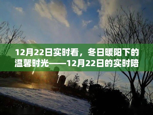 冬日暖阳下的温馨时光，实时陪伴的温馨时刻