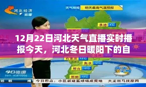 河北冬日暖阳下的直播之旅，今日天气实时播报与心灵体验