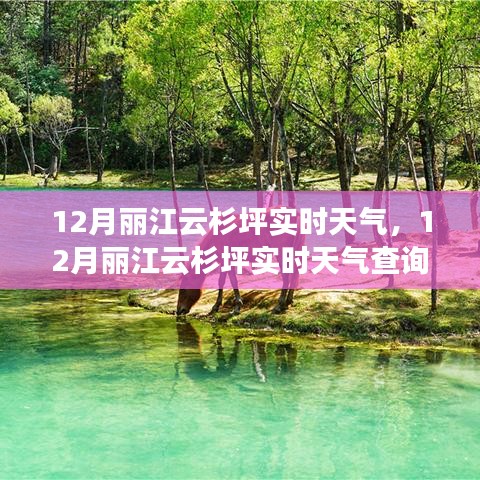 丽江云杉坪12月实时天气及应对指南