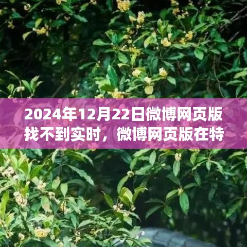 背后故事
