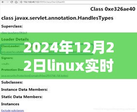 小红书风格教程，如何在特定日期（2024年12月22日）实时查看Linux内存空间
