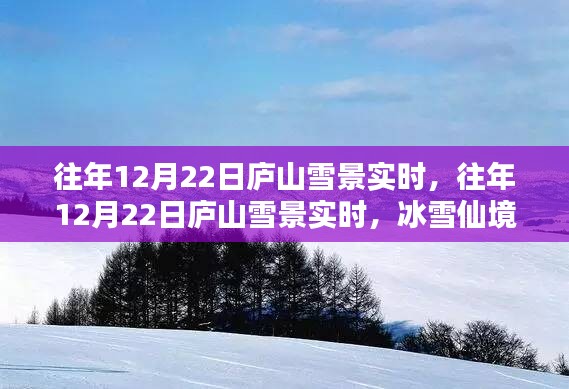 庐山冰雪仙境，往年12月22日雪景实时欣赏