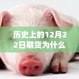 温馨日常与期货实时价格的奇妙缘分，探寻历史背后的故事与实时价格形成之谜