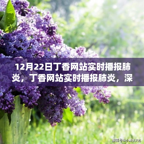 丁香网站实时播报肺炎，深度解读与观点阐述，最新动态一网打尽