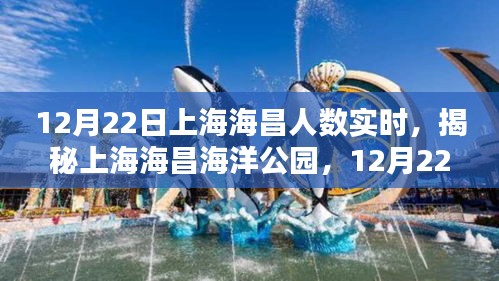 揭秘上海海昌海洋公园，12月22日实时人数报告揭秘！