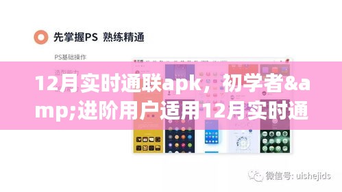 初学者与进阶用户适用的12月实时通联apk使用指南