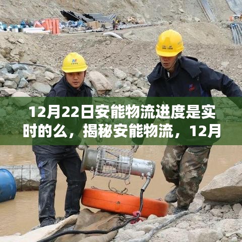 揭秘安能物流，12月22日实时物流进度全面追踪与解析