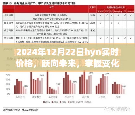 建议，跃向未来，掌握变化，探索2024年12月22日hyn实时价格的启示