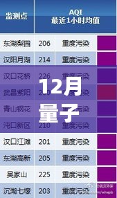 量子点实时监测技术揭秘，12月最新进展