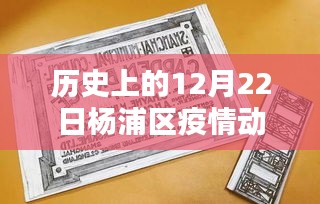 杨浦疫情实时动态，历史上的重要时刻回顾