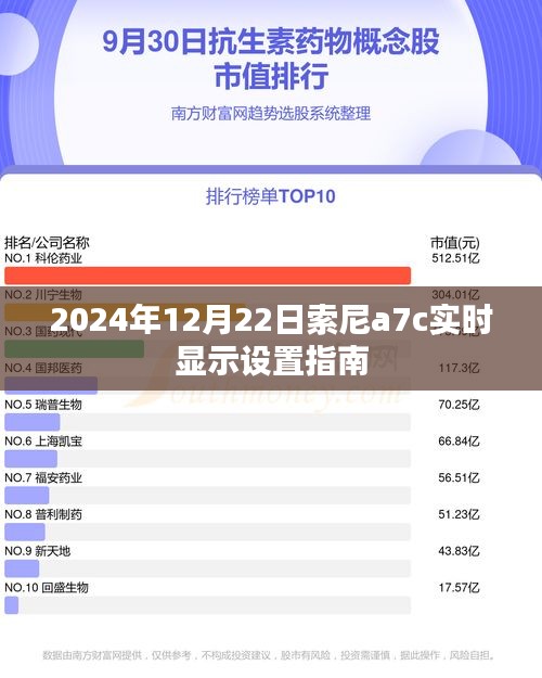 索尼a7c实时显示设置指南（详细教程，适用于2024年）