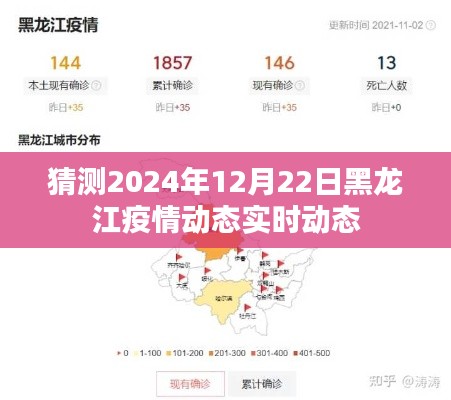 黑龙江疫情动态预测，2024年12月22日最新趋势分析