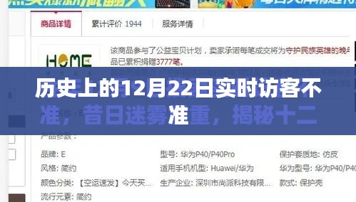 历史12月22日实时访客数据不准，揭秘背后的原因