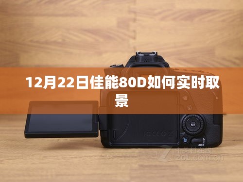 善始善终 第3页