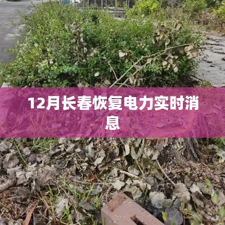 长春恢复电力供应最新消息，实时更新