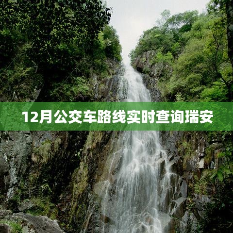 瑞安12月公交车路线实时查询服务