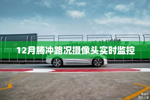 龙飞凤舞 第4页