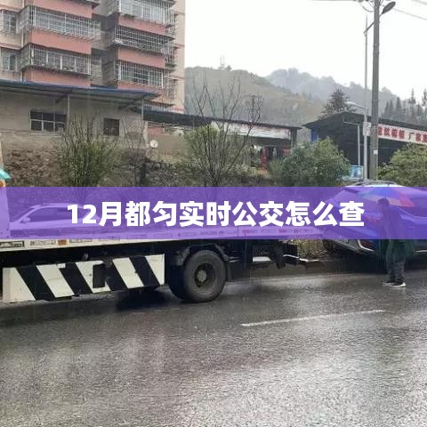 都匀实时公交查询指南，12月出行必备