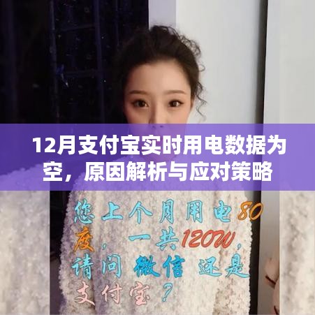支付宝实时用电数据为空，原因解析及应对方案